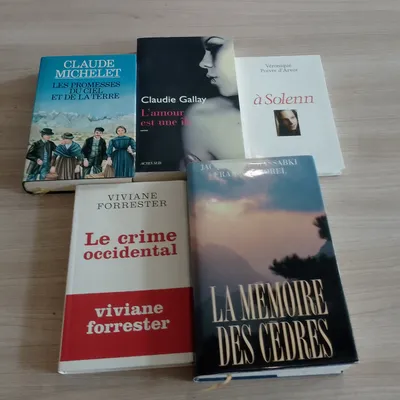 Lot de  5 livres, romans,(13)(Claude Michelet ect.)